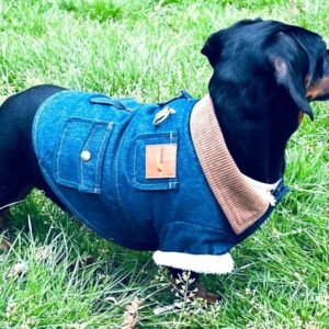 Cooper&Cosmo Iconic Denim Jacket