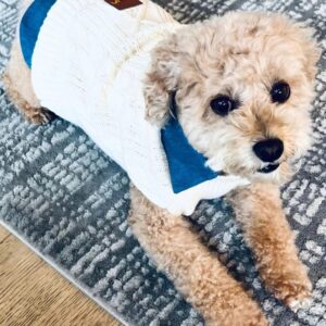 Knitted Sweater — Beige