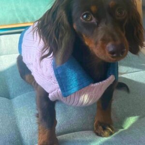 Knitted Sweater — Pink