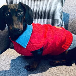 Knitted Sweater — Red