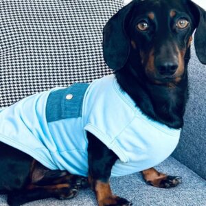 Cotton T-Shirt — Blue