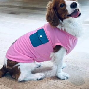 Cotton T-Shirt — Pink